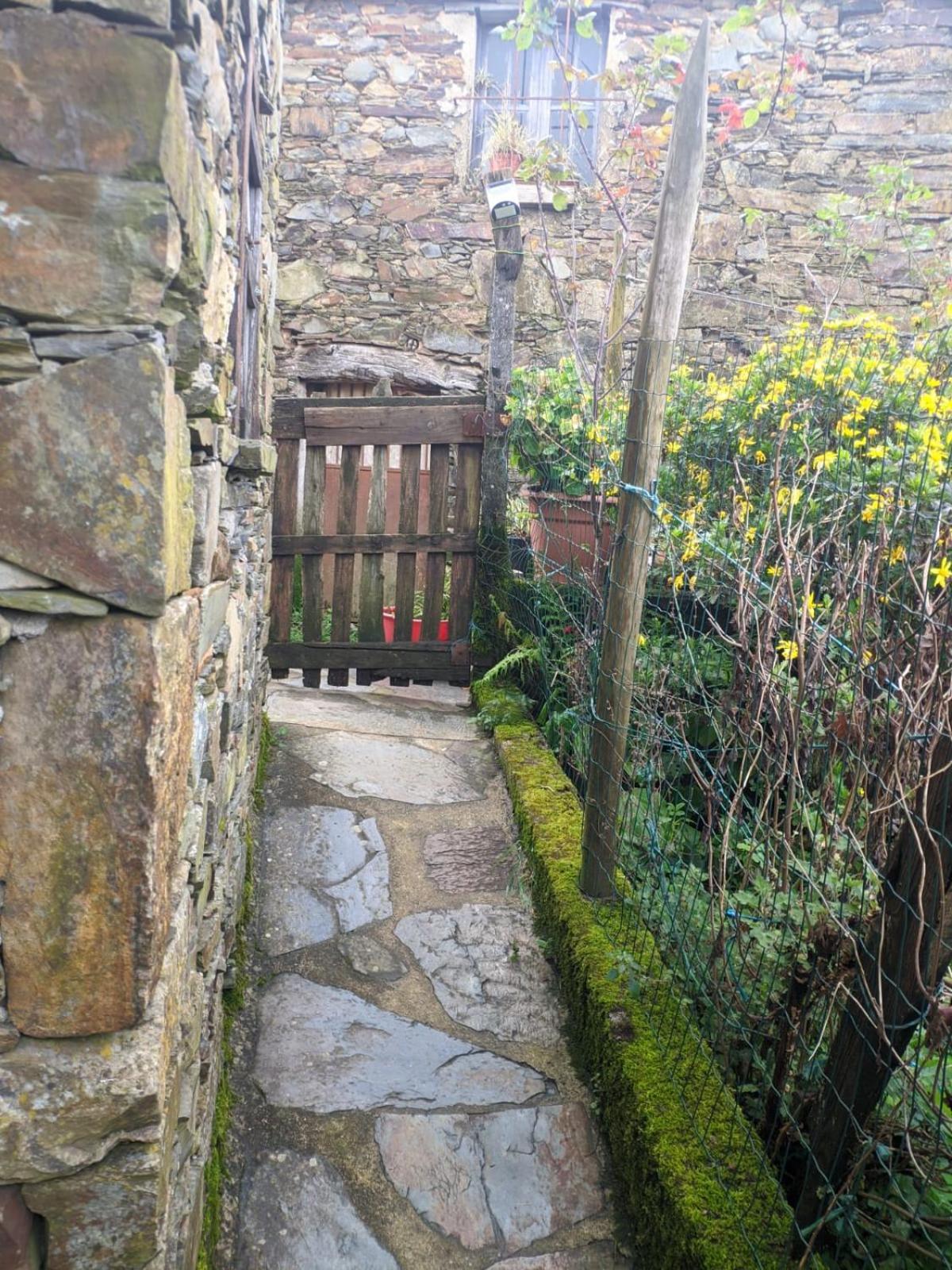 Vila Casa Do Pastor Lousã Exteriér fotografie