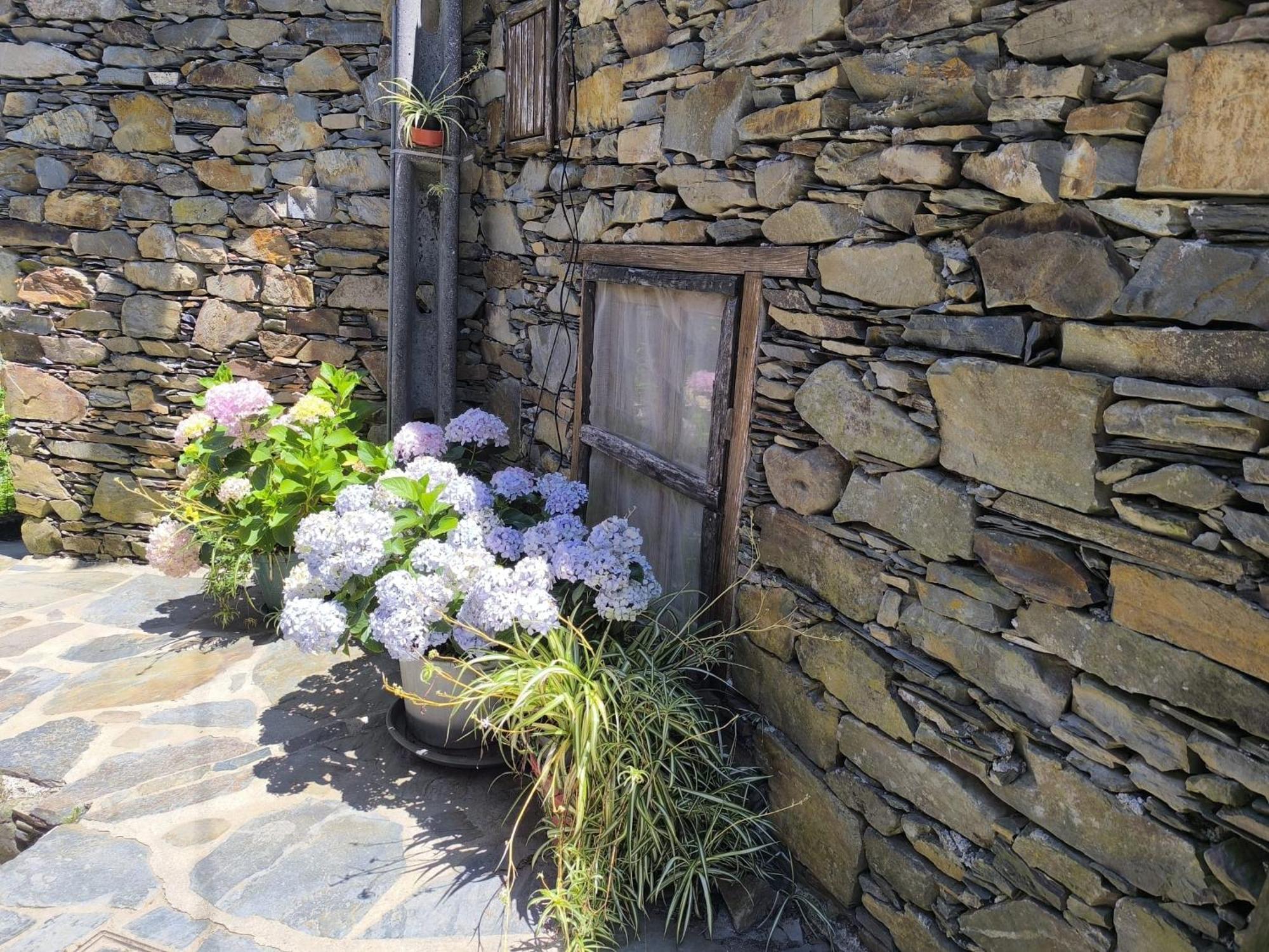 Vila Casa Do Pastor Lousã Exteriér fotografie